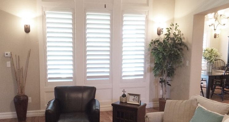 Minneapolis family room white shutters